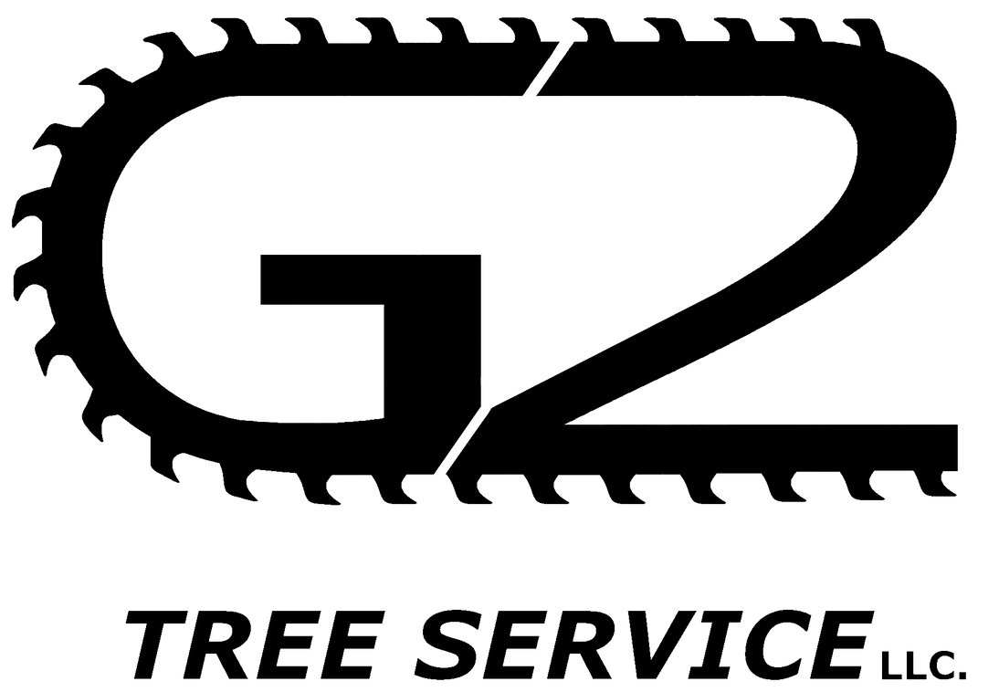 G2 Logo Black-1 G2 Tree Service logo