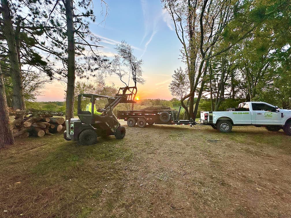 brush clearing