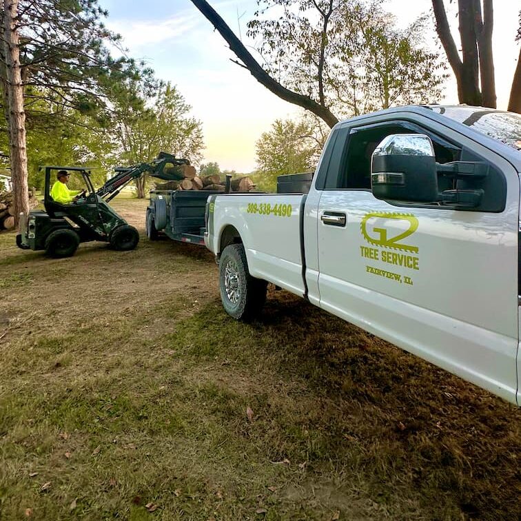 tree service tree service