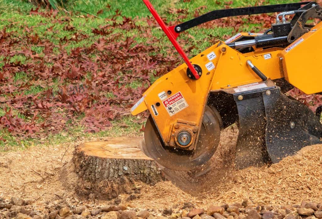 stump grind 1