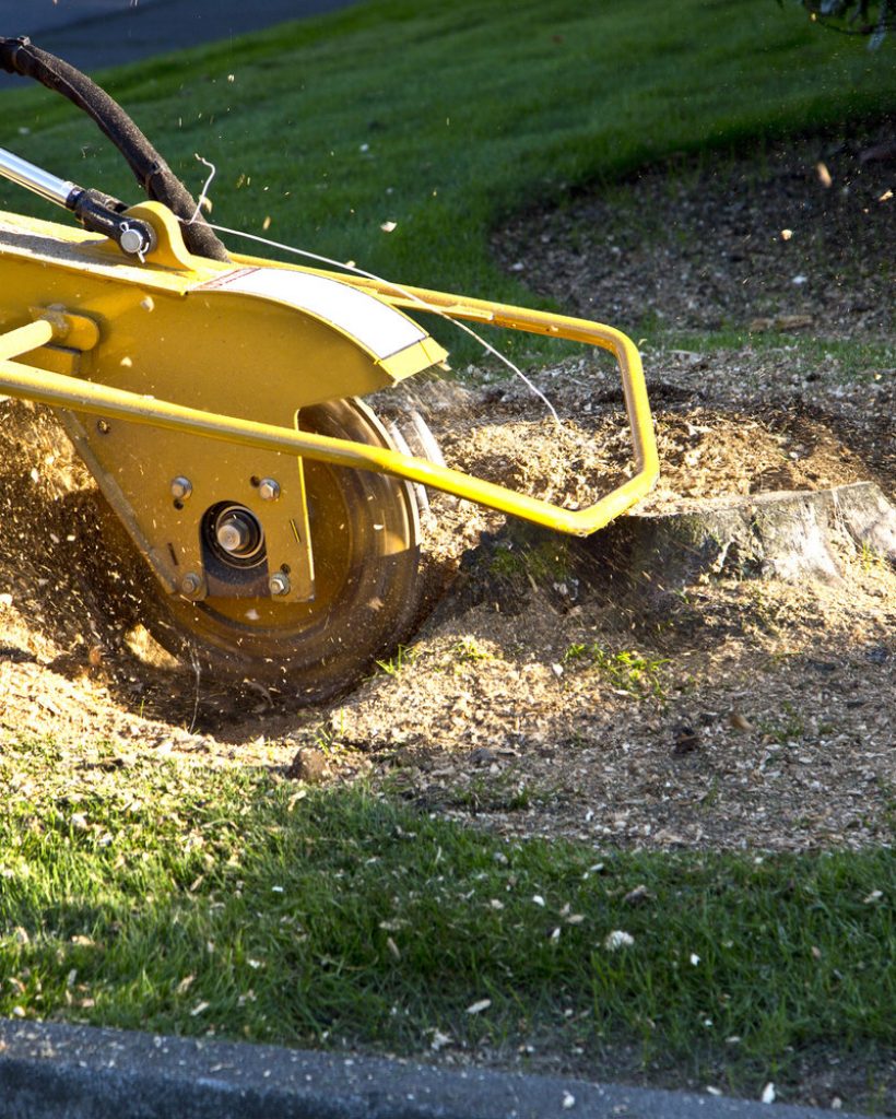 stump grind 2